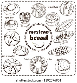 Mexican bakery , sketch doodle . Conchas hand drawn illustration. Can be used for a menu of Mexican cuisine. vintage pattern design, banner.