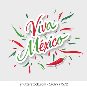 Mexican banner layout design. Viva Mexico holiday, vector illustration