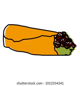 Mexican burrito food