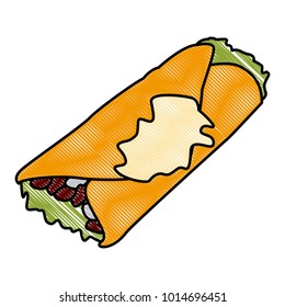 Mexican burrito food