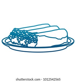 Mexican burritos food