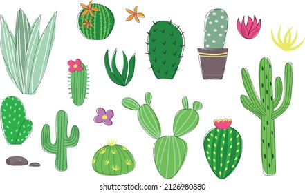 Mexican cacti set, hand drawn doodle succulents, minimalism cartoon style, green blooming cacti
