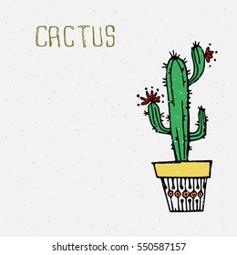 Mexican cactus.