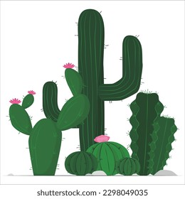 Mexican cactus and aloe. Desert spiny plant, mexico cacti flower and tropical home plants or arizona summer climate garden cactuses and succulent. Flora isolated vector icons collection