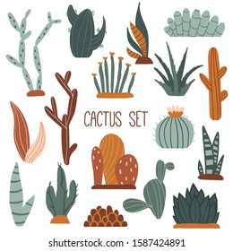Mexican cactus, aloe and succulents set. Cute colorful hand drawn flat style illustration. Doodle desert plants, mexico cacti flower, tropical home flowers. Botany, floral vector isolated on white