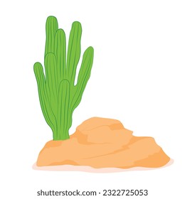 Mexican cactus and aloe. Vector stock illustration. isolated on a white background. A desert plant on a rock.