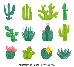 Mexican cactus and aloe. Wild exotic plant with sharp spikes and flower blossom. Exotic summer nature elements growing in deserts. Bright spiny cacti, green flora objects isolated vector set