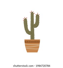 Mexican cactus in flower pot isolated on white background. Modern hand drawn vector illustration