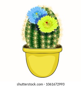 The Mexican cactus flowering in a pot  vector illustration