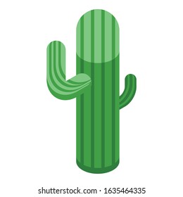 Mexican cactus icon. Isometric of mexican cactus vector icon for web design isolated on white background