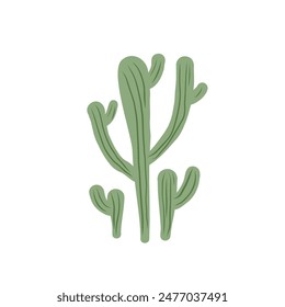 Mexican cactus isolation on white background. Exotic desert plant Vector flat illustration