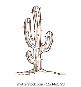 Mexican Cactus Plant Monochrome Sketch Outline Vector Illustration