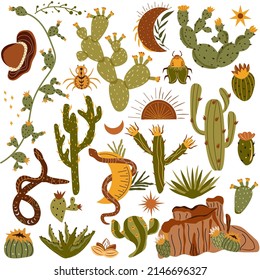 Mexican cactus plants with flowers and aloe, snake, spider. Collection desert prickly plants. Tropical illustration. Vector