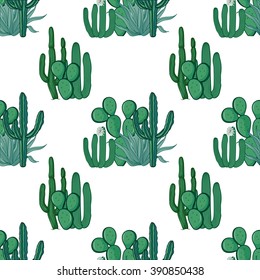 Mexican cactus seamless pattern on white background. Succulent seamless pattern. Vector illustration