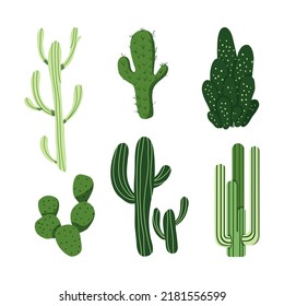 Mexican cactus set. Desert spiny plant, cacti flower and tropical home plants or garden cactuses and succulent. Flora isolated vector icons collection. Illustration in flat style.