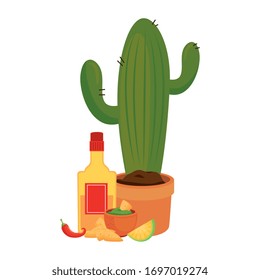 Mexican cactus tequila bottle bowl nachos chilli and lemon design, Mexico culture tourism landmark latin and party theme Vector illustration