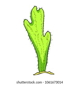 The Mexican cactus with thorns  vector illustration