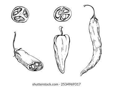 Mexican chili bell pepper, spicy vegetable salad ingredient jalapeno habanero. Hand drawn ink vector illustration set. Design snack bar, delivery restaurant cafe menu, recipe book, farmers market