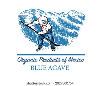 Mexican colored landscape with fields of blue agave and farmer. Organic plant for tequila and other products. Vector illustration for design of emblems, logo.