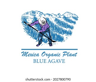 Mexican colored landscape with fields of blue agave and farmer. Organic plant for tequila and other products. Vector illustration for design of emblems, logo.