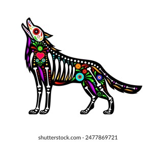 Mexican coyote animal tattoo, day of the dead sugar skull. Isolated vector wild howl wolf or coyote animal figure with colorful traditional motifs and skeleton bones, celebrating Mexican death holiday