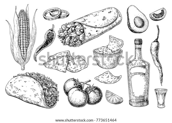 墨西哥美食绘画 传统食品和饮料矢量插图 刻玉米饼 卷饼 玉米片和龙舌兰酒瓶 拍摄 库存矢量图 免版税 773651464