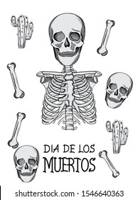 Mexican Day of the Dead party with creepy skeleton, skull, bones and cactus. Monochrome holiday vector