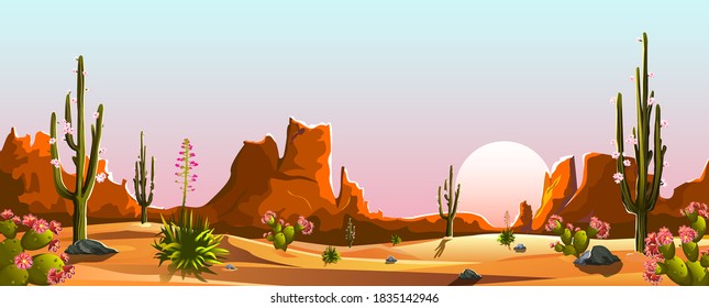 Mexican desert. Blooming cacti. The mountains. Sunset. Landscape. Saguaro cactus.
