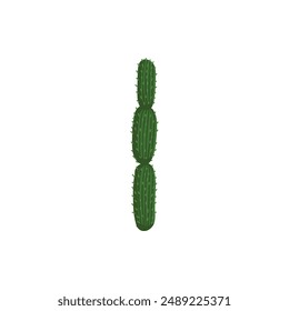 Mexican desert cactus green cartoon collection flora flora. Illustration of green mexican flora, flower plant succulent collection vector on white background