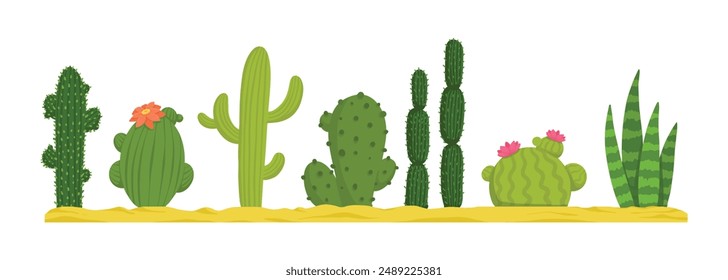 Mexican desert cactus green cartoon collection flora flora. Illustration of green mexican flora, flower plant succulent collection vector on white background