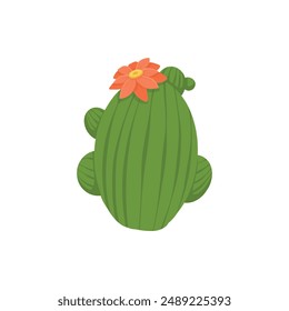 Mexican desert cactus green cartoon collection flora flora. Illustration of green mexican flora, flower plant succulent collection vector on white background