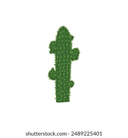 Mexican desert cactus green cartoon collection flora flora. Illustration of green mexican flora, flower plant succulent collection vector on white background