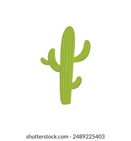 Mexican desert cactus green cartoon collection flora flora. Illustration of green mexican flora, flower plant succulent collection vector on white background