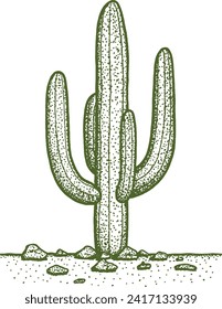 Mexican Desert Cactus Hand-drawn Illustration