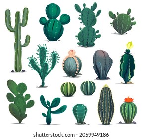 Mexican desert cactuses. Cartoon prickly succulent plants. Mexico desert flora, exotic cacti or flowering barrel, senita and saguaro cactuses. Western game environment succulent plants vector asset