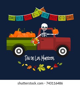Mexican Dia de los Muertos (Day of the Dead) skeleton in a pick up with pumpkins, greeting card, vector illustration.