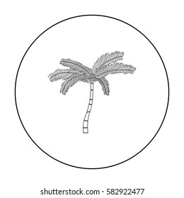 Mexican fan palm icon in outline style isolated on white background. Mexico country symbol stock vector illustration.