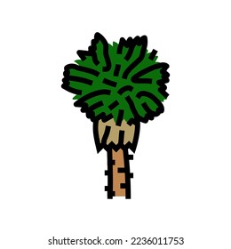 mexican fan palm tree color icon vector. mexican fan palm tree sign. isolated symbol illustration