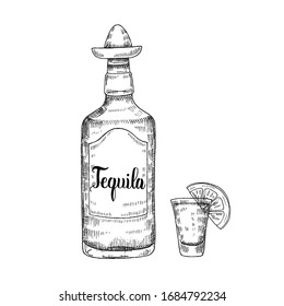 Mexican Food and drink. Hand drawn tequila with wineglass and lime in sketch style isolated on white. Hand made lettering. Vector engraving illustration for menu designs.