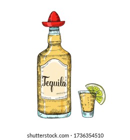 Mexican Food and drink. Hand drawn tequila with wineglass and lime in sketch style isolated on white. Hand made lettering. Vector engraving illustration for menu designs.