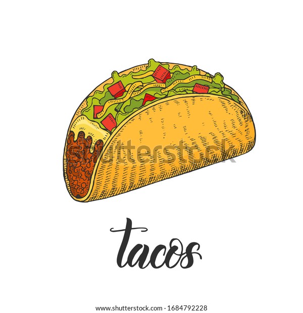 Mexican Food Hand Drawn Colored Tacos Stock Vector (Royalty Free ...