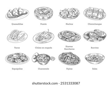 Mexican food set on plates, hand drawn sketch style