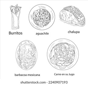 Mexican foods vector. Best Mexican Dishes. Latin american food set illustration.