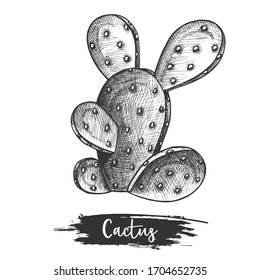 Mexican giant cactus sketch or hand drawn desert cacti. American plant with thorns or spike. Vector sketching illustration of texas flora. Succulent decoration. Botany and biology, nature theme