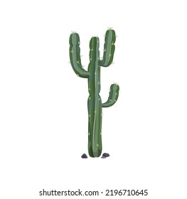 Mexican giant cardon or elephant cactus, western cactus tropical succulent grown in desert isolated. Vector indians and native americans cacti with thorns, prickly succulent plant tall spiky tree svg