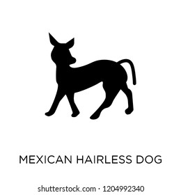 Mexican Hairless Dog dog icon. Mexican Hairless Dog dog symbol design from Dogs collection. Simple element vector illustration on white background.