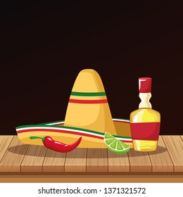 Mexican hat and tequila od cartoons