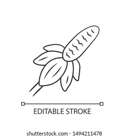 Mexican hat wild flower linear icon. Upright prairie coneflower. Ratibida columnifera plant. Blooming wildflower. Thin line illustration. Contour symbol. Vector isolated drawing. Editable stroke