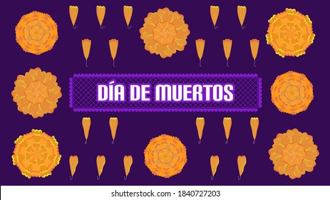 Mexican cempasúchil/marigold, ithe traditional flower to honor the dead.