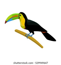 Mexican keel-billed toucan icon in cartoon style isolated on white background. Mexico country symbol stock vector illustration.